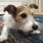 little monster - @tabitha_little_monster - Instagram