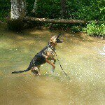 ♡♡Tabitha Little♡♡ - @moto_mom_147 - Instagram