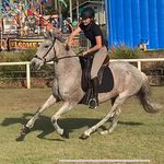 Tabitha Little - @tabitha.little.equine - Instagram