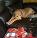 Tabitha Marks - Facebook