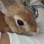 Tabitha Mcmullen - @tabitha_mcmullen - Instagram