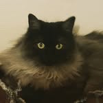 Tabitha Moonbeam - @tabithamoonbeam - Instagram