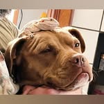 Tabitha Myers - @tabbycat0521 - Instagram