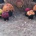 Tabitha Neely - Facebook