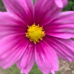 Tabitha Nevels - @tabbie07 - Instagram