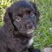 Tabitha Nevels - Facebook