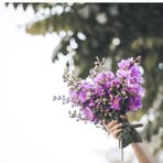 Tabitha Nguyễn - Facebook