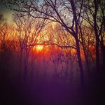 Tabitha Peterson - @tabithapeterson745 - Instagram