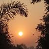 tyagiprashant0786@gm - @tabitha.pittman529 - TikTok