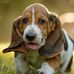 Tabitha Poole - Facebook