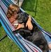Tabitha Poole - Facebook