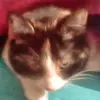 Tabitha Pope361 - @tabithapope0 - TikTok