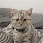 Tabitha Potato - @tabithapotato - Instagram