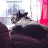 tabitharankin236 - @tabitharankin236 - TikTok