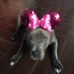 Tabitha Sage - Facebook