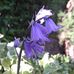 Tabitha Schenk Photography - Facebook