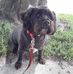 Tabitha Shaw Peterson - Facebook