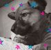 Tabitha Spencer - Facebook