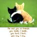 Tabitha Stidham - Facebook