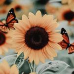 Tabitha Stiles - @s27tabi - Instagram