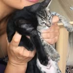 tabitha & storm !! - @tabitha.storm - Instagram