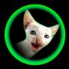 Tabitha Stowe - @user6756814503267 - TikTok