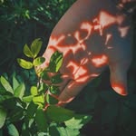 Tabitha Strain - @tabbylensmagic - Instagram