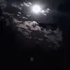 Tabitha Street - @tabitha.street - TikTok