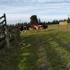 tabithastringer94 - @tabithastringer94 - TikTok