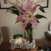 Tabitha Stroud Thomas - Facebook