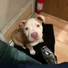 Not Tabitha Suarez - @tabbia2 - TikTok