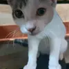 Tabitha Tackett - @tabitha.tackett - TikTok