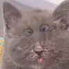 Tabitha Tolbert - @tabithatolbert - TikTok