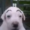 tabitha - @tabitha.thomas__ - TikTok