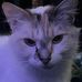 Tabitha Thomas - Facebook