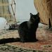 Tabitha Thrasher - Facebook