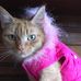 Tabitha Thurston - Facebook