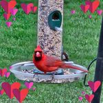 Tabatha Cammalleri Timmons - @tabtimms - Instagram