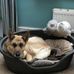 Tabitha Twidale - Facebook