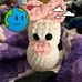 Tabitha Collins Tracy - Facebook
