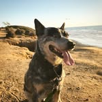 Tabitha Garrison - @trails_with_tabitha - Instagram