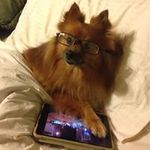 Tabitha Tripp - @tabitha_tripp - Instagram