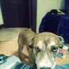 Tabitha Truitt - @tabithatruitt0 - TikTok