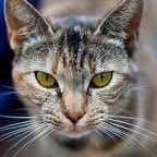 Tabitha Weldon - Facebook