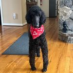 Tabitha West - @tabitha.west.58 - Instagram