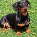 Tabitha Wilcox - Facebook