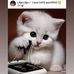 Tabatha Wilder - Facebook