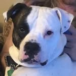 Tabitha Wilder - @tabithawilder7 - Instagram