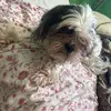 Tabatha Wood - @tabatha.wood71 - TikTok