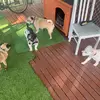 Wyatt - @wyatt.tabitha - TikTok